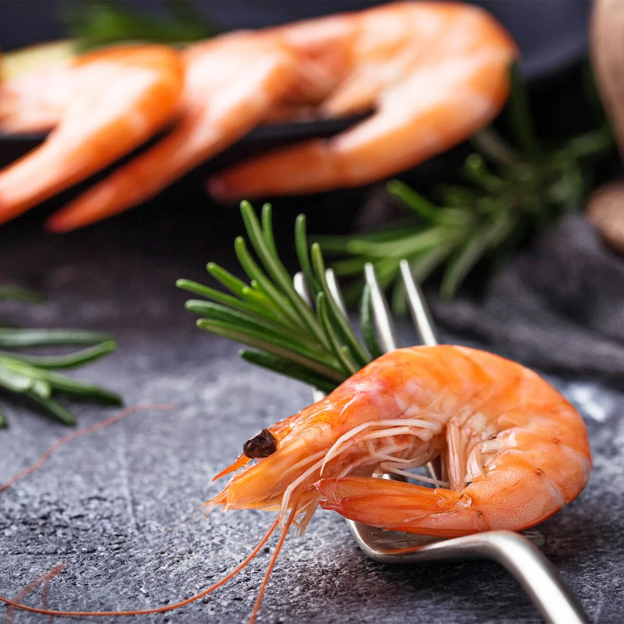 Premium vannamei and black tiger shrimp on dark wet slate with ice